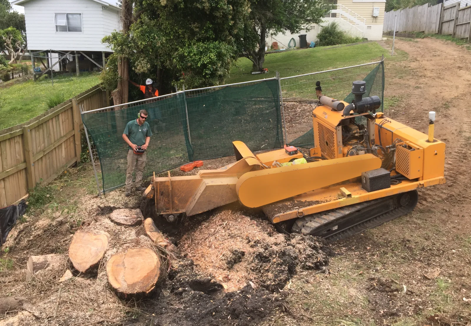 Tracked stump grinder working on a large stump beside a fence