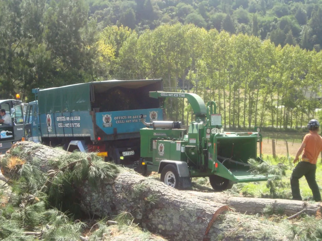 Tree crew feeding branches into a chipper truck beside a felled log