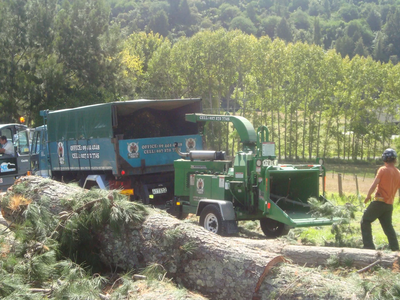 Tree crew feeding branches into a chipper truck beside a felled log
